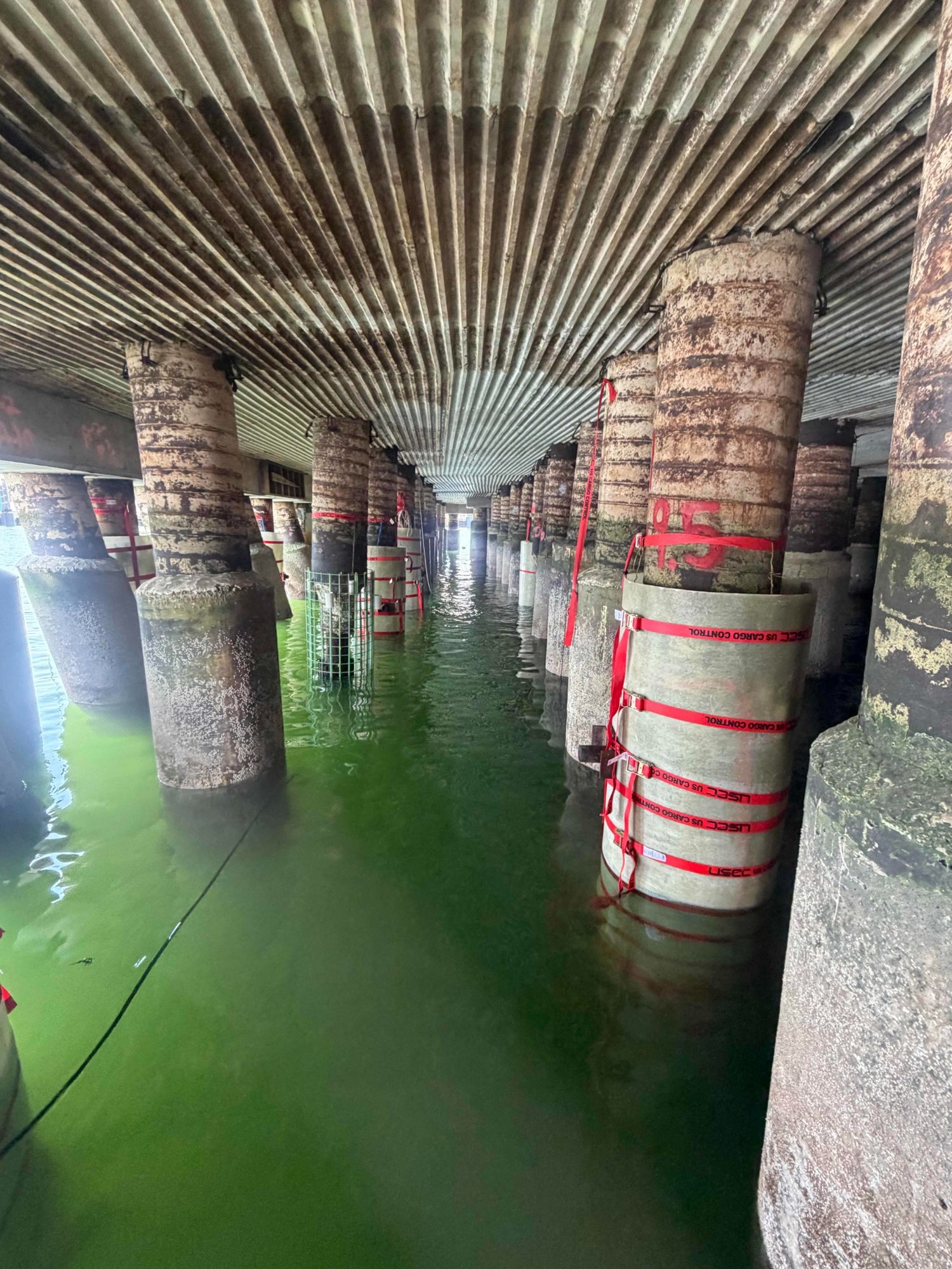 Under-pier rehabilitation at Pier 12